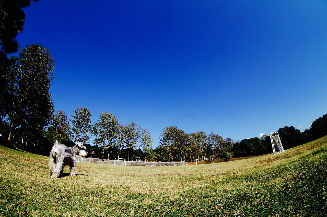 The Teak Resort Chiangdao 치앙다오 외부 사진